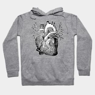 Anatomical heart 2.0 Hoodie